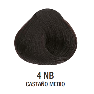 Tinta Evolution of The Color N°4NB 60g