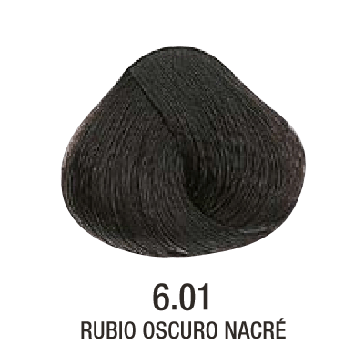 Tinta Evolution of The Color N°6.01 60g