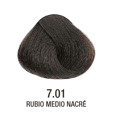 Tinta Evolution of The Color N°7.01 60g