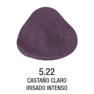 Tinta Evolution of The Color N°5.22 60g