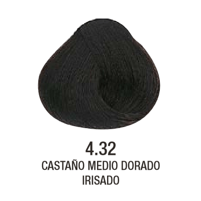 Tinta Evolution of The Color N°4.32 60g