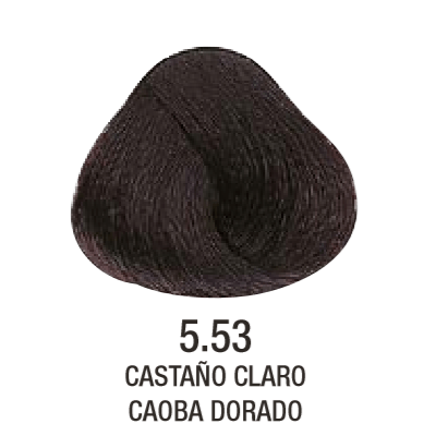 Tinta Evolution of The Color N°5.53 60g