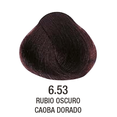 Tinta Evolution of The Color N°6.53 60g