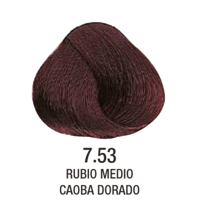 Tinta Evolution of The Color N°7.53 60g