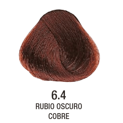 Tinta Evolution of The Color N°6.4 60g