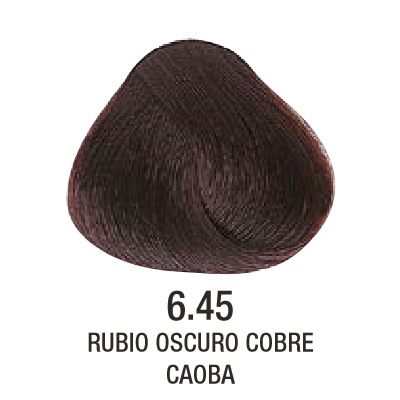 Tinta Evolution of The Color N°6.45 60g