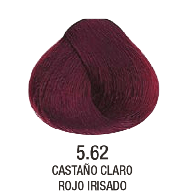 Tinta Evolution of The Color N°5.62 60g