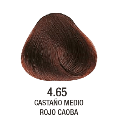 Tinta Evolution of The Color N°4.65 60g