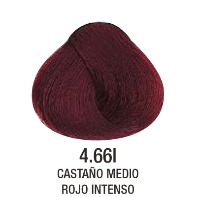 Tinta Evolution of The Color N°4.66I 60g