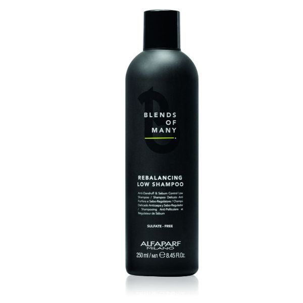 REBALANCING LOW SHAMPOO MEN 250ml  ALFAPARF MILANO