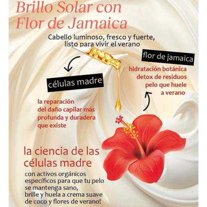 Acondicionador Reparación Celular Verano 1Lt Riviera